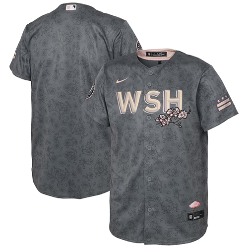 Youth #Blank Washington Nationals Nike City Connect Replica Jersey - Gray