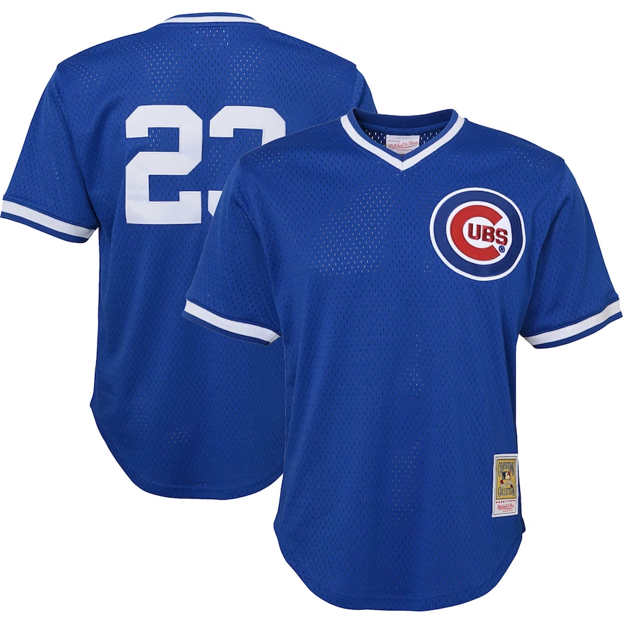 Chicago Cubs Youth #23 Ryne Sandberg Mitchell & Ness Cooperstown Collection Mesh Batting Practice Jersey- Royal